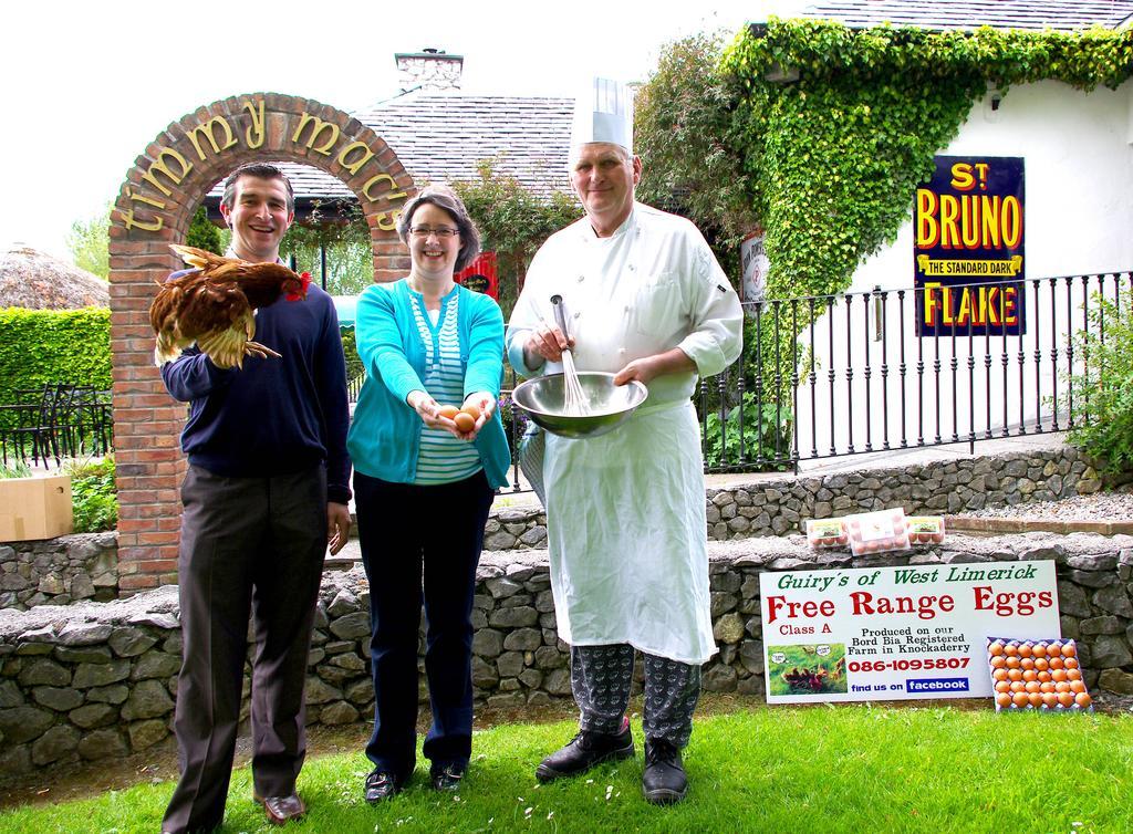 Fitzgeralds Woodlands House Hotel Adare Bagian luar foto